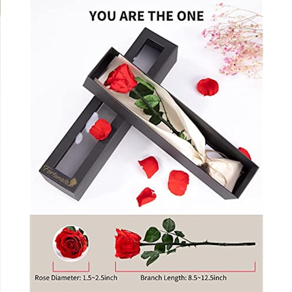 Evigt Bevarede Rosegaver til Kvinder, Valentinsdag Gave red