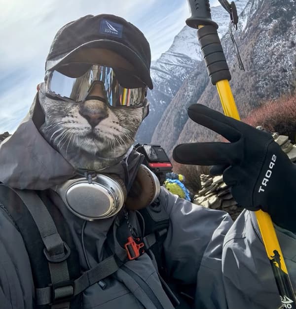 Dyreprint Ansiktsmaske Halv Ansikts Skjerf Balaclava Hodeplagg Elastisk Hodebånd Style 2