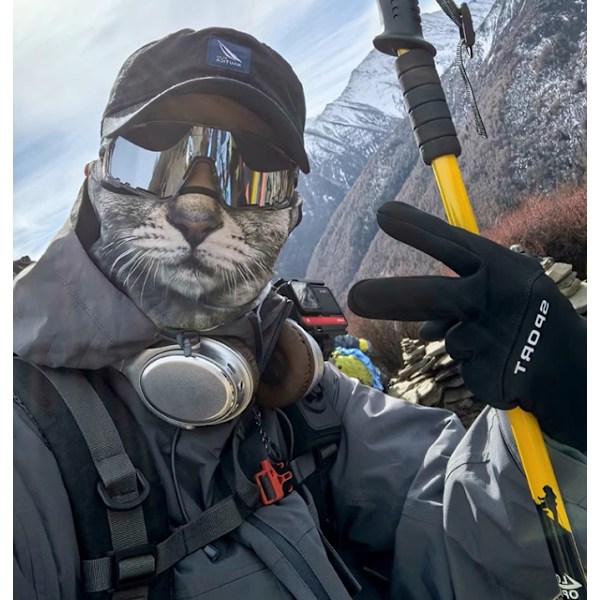 Eläinpainatteinen kasvomaski Puoli Kasvot Huivi Balaclava Päällinen Elastinen Pääpanta Style 1