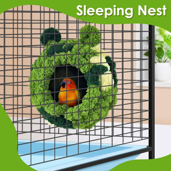 Conure-bo L