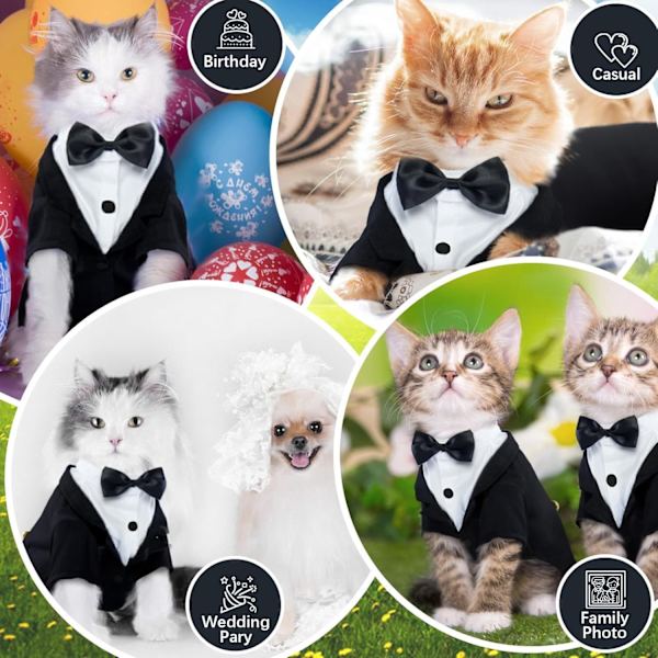 Katt Smoking Outfit, Sphynx Katt Kostym Formell Dräkt med Fluga M