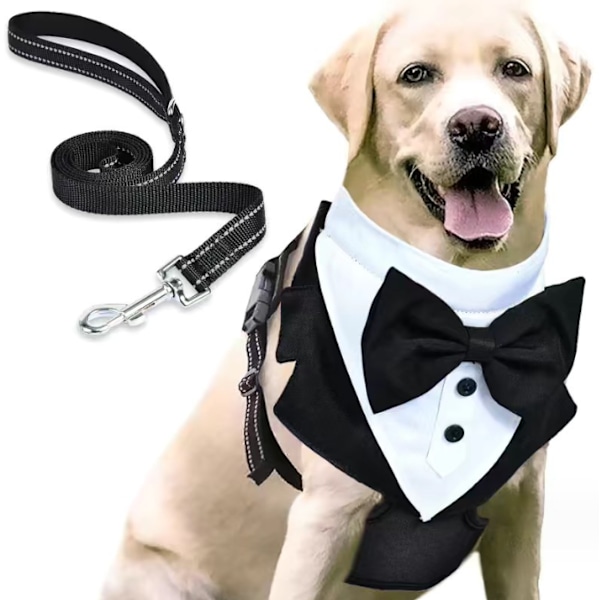 Hundsele med Smoking, Justerbar Hundsele utan Drag
