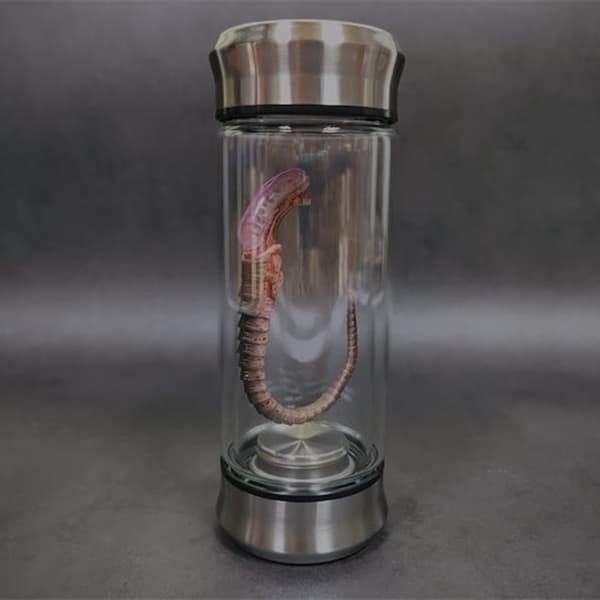 Alien Prøve Glow Jar Facehugger Egg Hjemmeinnredning Prop