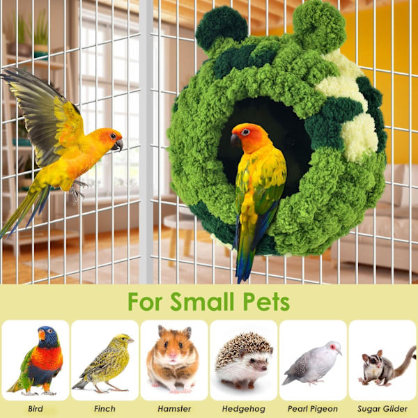 Conure-bo M