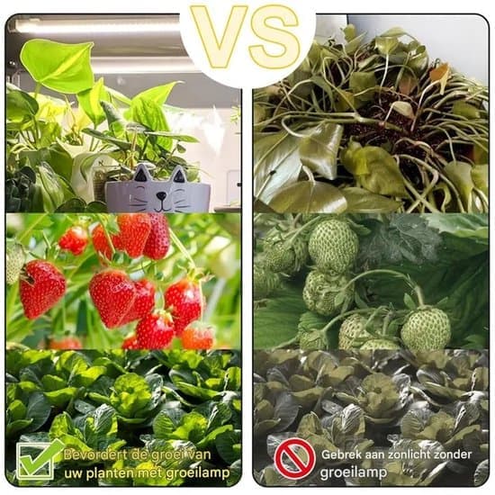 LED växtlampa för växter - Växtbelysning - Växtlampor - Fullspektrum - 30CM - för krukväxter och suckulenter
