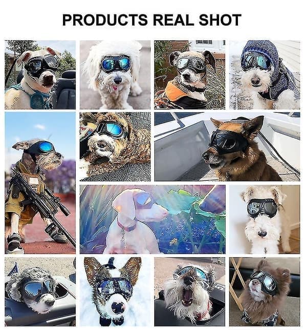 Koiran lasit UV-suojaavat aurinkolasit silmäsuojaimet, musta Black