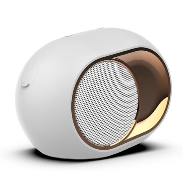 Ysilla Portabel Bluetooth högtalare, trådlös Bluetooth 5.0-högtalare Ljud Dubbel Subwoofer TF - U - AUX - FM - Vit