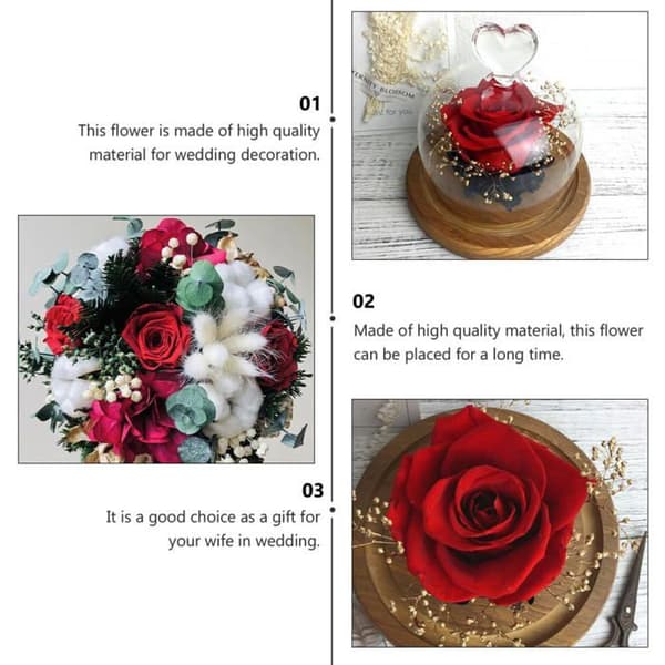 12 røde konserverede rosehoder, 3–4 cm, til bryllupsdekorasjon, DIY-buketter og Valentinsdag