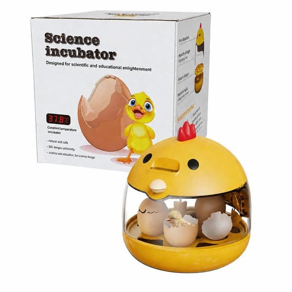 Liten smart egginkubator, automatisk temperaturkontroll, for husholdning, papegøye, kyllinger Standard-EN Version