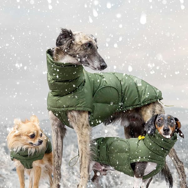 Varm bomullsjakke til hund, høst vinter, militærgrønn Military Green S, Back 35 cm
