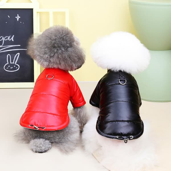 Hund Bomull Vadderad Jacka, Vattentät, Förtjockad, Höst Vinter Teddy Kattkläder Black S-22 Jacket