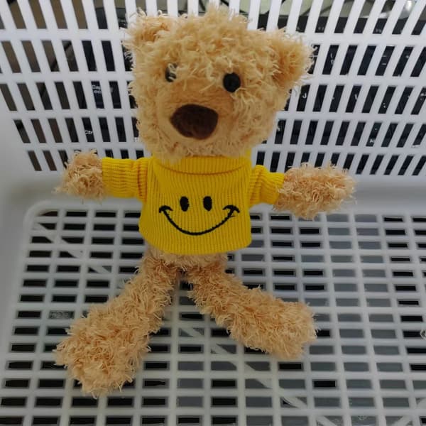 Bamse Plyslegetøj Dukke til tøjtilbehør 20cm Straight Fixed Clothed