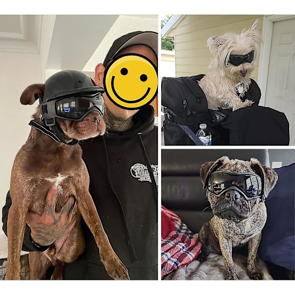 Anti-UV Hundsolglasögon med Djurhjälm, Vindtätt och Ögonskydd för Små och Medelstora Hundar