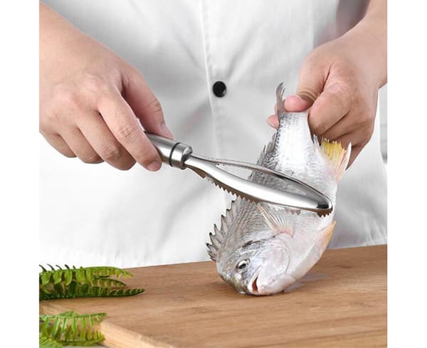 Praktisk fiskeskjellfjerner, solid manuell fiskeskrape