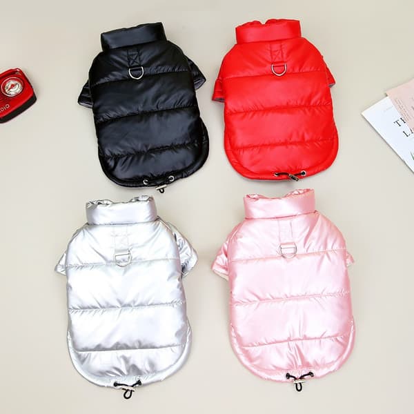 Hund Bomull Vadderad Jacka, Vattentät, Förtjockad, Höst Vinter Teddy Kattkläder Black S-22 Jacket