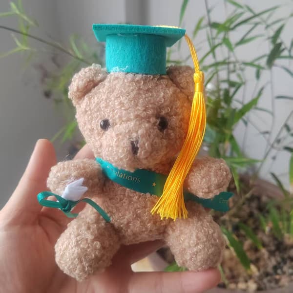 Bamse med studenterhue plyslegetøj Tiffany Blue Plastic Eco Eyes