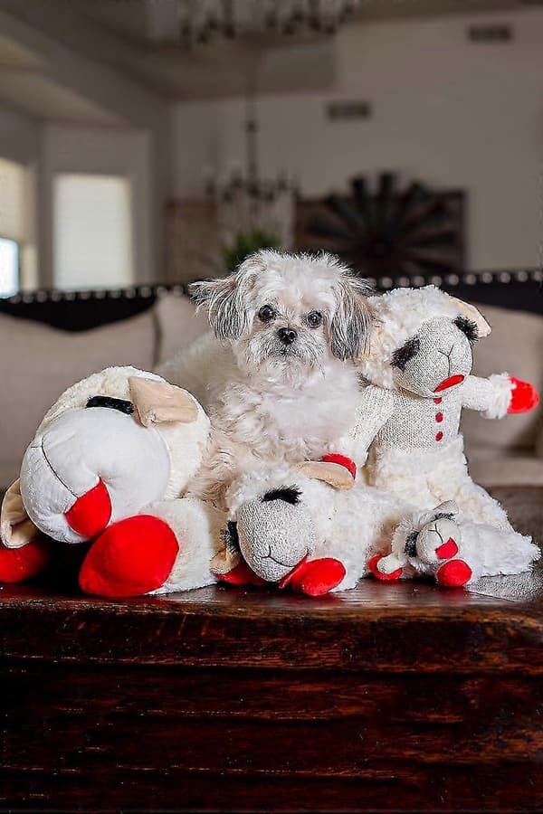 Plyschhundleksak, Lambchop, 25 cm, Vit/Tan, Liten