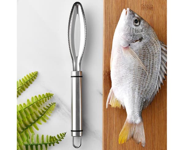 Praktisk fiskeskjellfjerner, solid manuell fiskeskrape