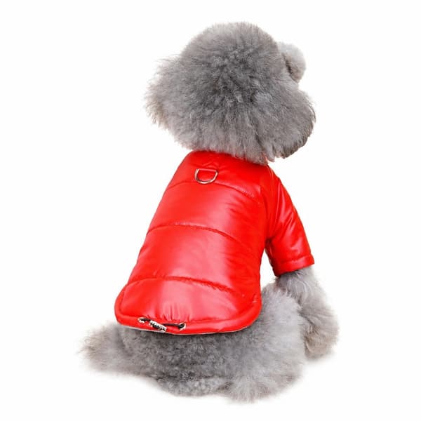 Hund Bomull Vadderad Jacka, Vattentät, Förtjockad, Höst Vinter Teddy Kattkläder Red XL-22 Jacket