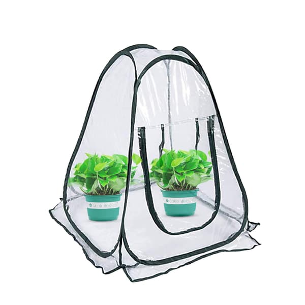 Mini bærbart drivhus, foldbart, vindtæt regntæt dækken til sukkulente blomsterplanter
