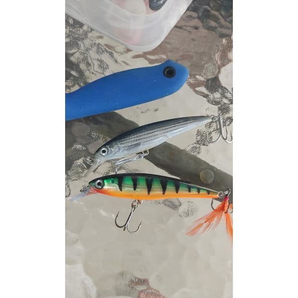 Fiskedrag