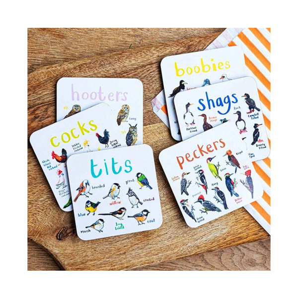 Set av 6st Bird Pun Coasters