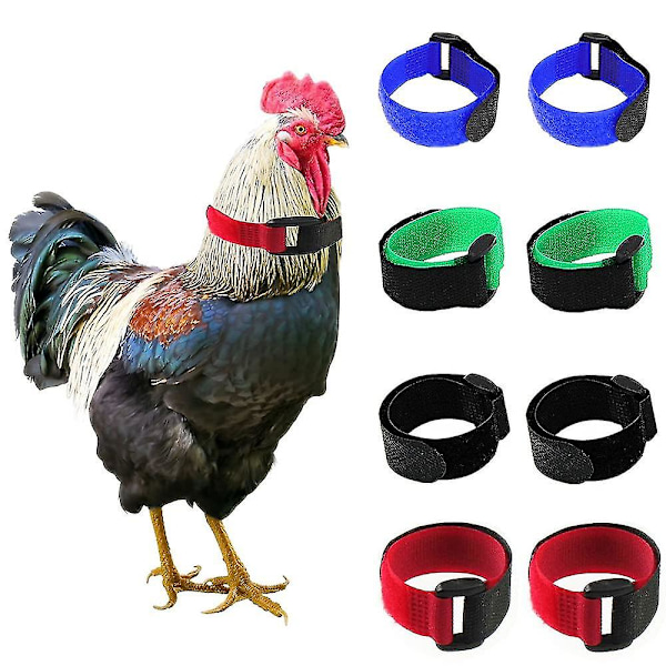 Kycklinghalsband Mjuk Textur Anti-tuppgalande Justerbart Anti-krok Tupphalsband Fjäderfätillbehör 8PCS SETS