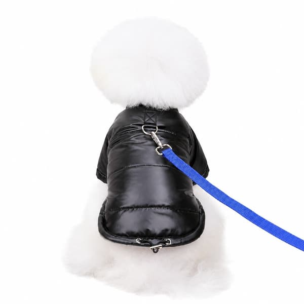 Hund Bomull Vadderad Jacka, Vattentät, Förtjockad, Höst Vinter Teddy Kattkläder Black M-22 Jacket
