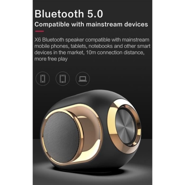 Ysilla Bärbar Bluetooth högtalare, Trådlös Bluetooth 5.0-högtalare Audio Dubbel Subwoofer TF - U - AUX - FM - Svart