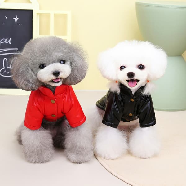 Hund Bomull Vadderad Jacka, Vattentät, Förtjockad, Höst Vinter Teddy Kattkläder Red XL-22 Jacket