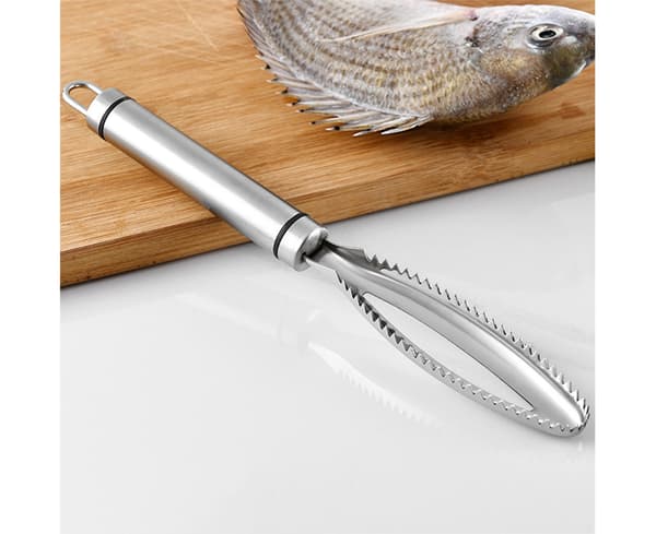 Praktisk fiskeskjellfjerner, solid manuell fiskeskrape