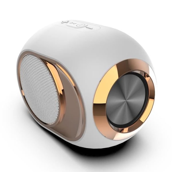 Ysilla Portabel Bluetooth högtalare, trådlös Bluetooth 5.0-högtalare Ljud Dubbel Subwoofer TF - U - AUX - FM - Vit