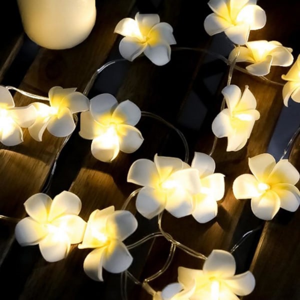 Led dekorativa lampor Frangipani lampa blomma fe lampa för