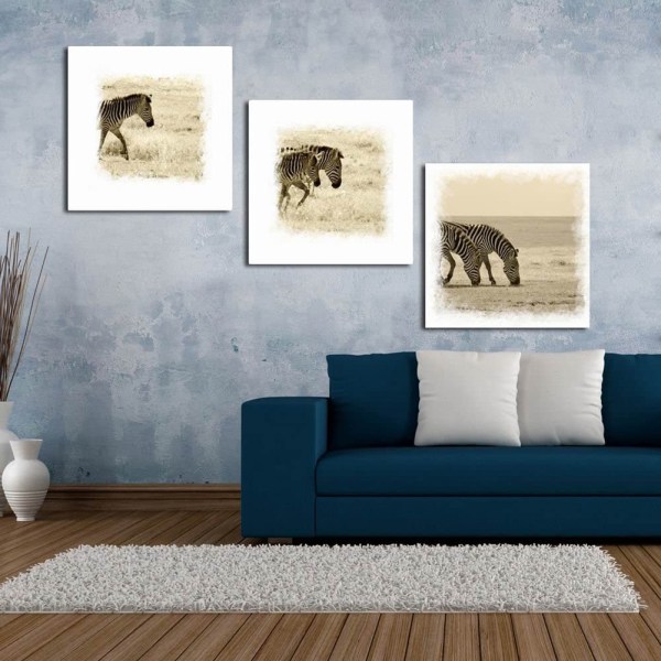 Söt Zebra Canvas Väggkonst Målning Tryckt Bild Hemmakontor