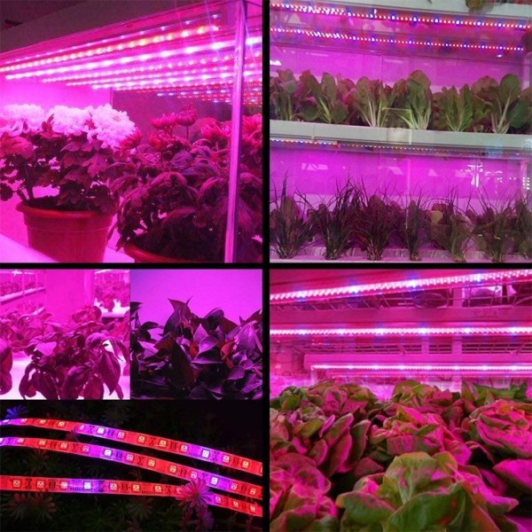 LED Plant Growth Light String 5050 SMD LED-ljus Vattentät