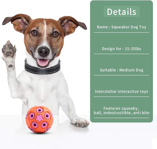 Interaktivt legetøj til mellemstore hunde - Holdbart gummi - Hårdt tyggelegetøj - Hund