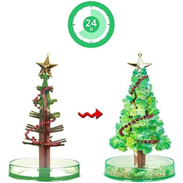 2Pcs Arbre magique pour Journée de l'arbre,DIY Arbre en