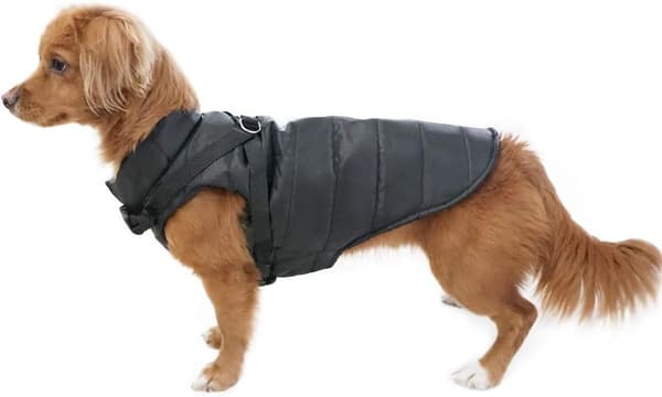 Vinterfrakker til hunde, vandtætte og varme med selehul, hvalp Ja