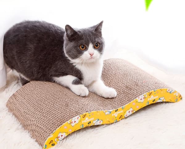 Kattklösbräda i kartong, korrugerad kartong, kattträd med
