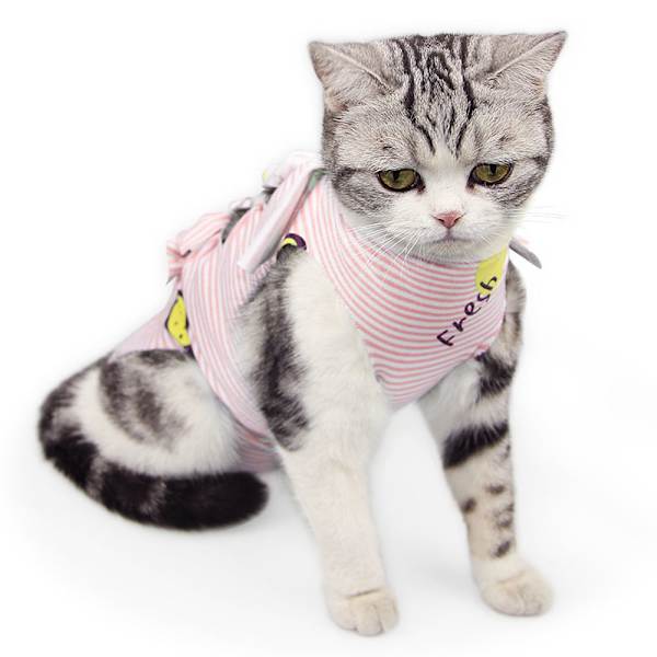 1 st husdjursmönster katt kastrering/sterilisering dräkt avvänjning postoperativ dräkt
