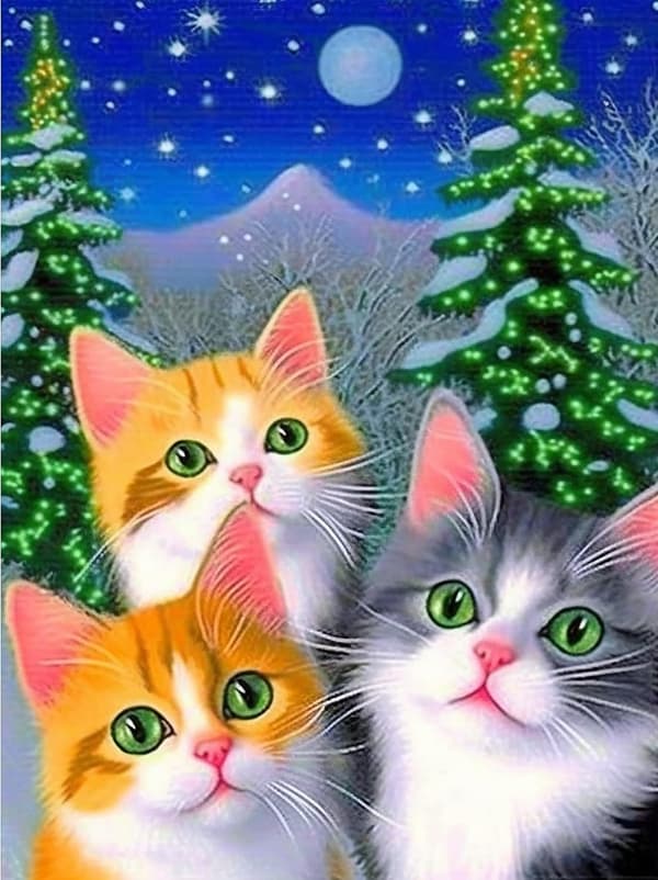 5D Diamantmålning 30x40cm Katt, Diamantbroderi Djur, Diamant