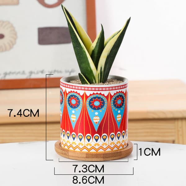 3-pack Suckulent Växtkrukor, 8 cm Runda Keramiska Kaktusplanter wi