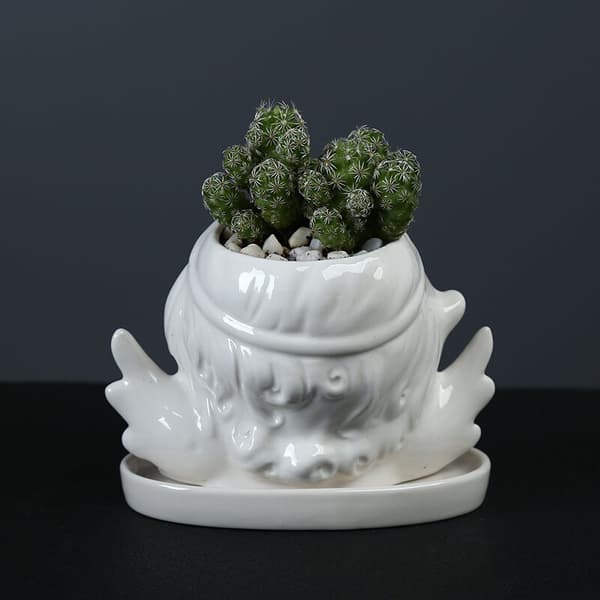 Man Face Vases Blomvas Dekoration Keramisk Vas Modern Suckulent