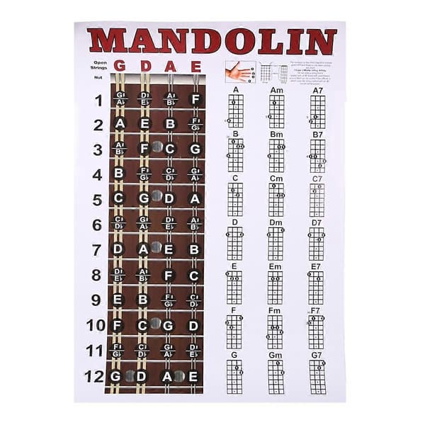 Mandolin Affisch Tabell Ackord Musikalisk Träningsinstrument Guide Ackord Greppbräda Fingersättningsschema