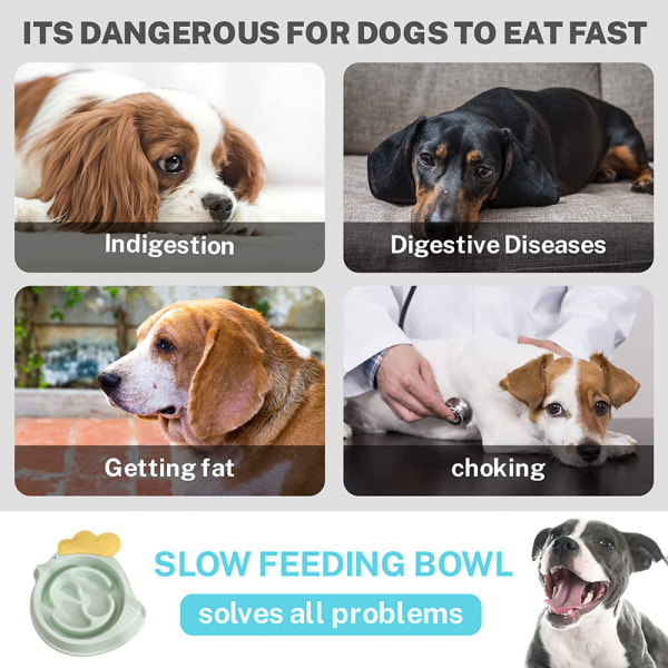 Slow Feeder Pet Bowl Hälsosamt ätande Husdjur Slow Food Matning Husdjur green