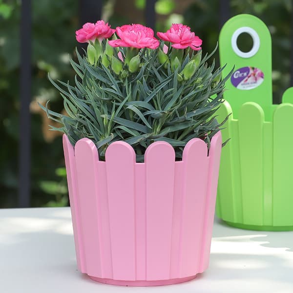 Mini blomsterkasse i polypropylen, 15 cm rosa veggmontert gjerdeblomst