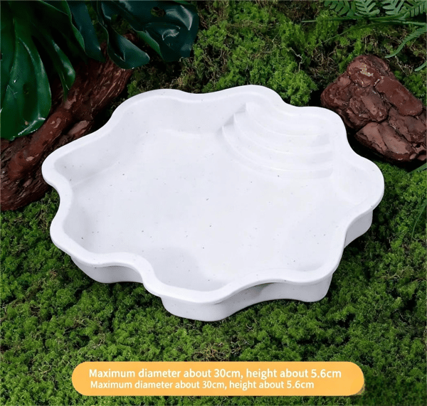 Trappet vandskål til krybdyr (skildpadde badekar) White