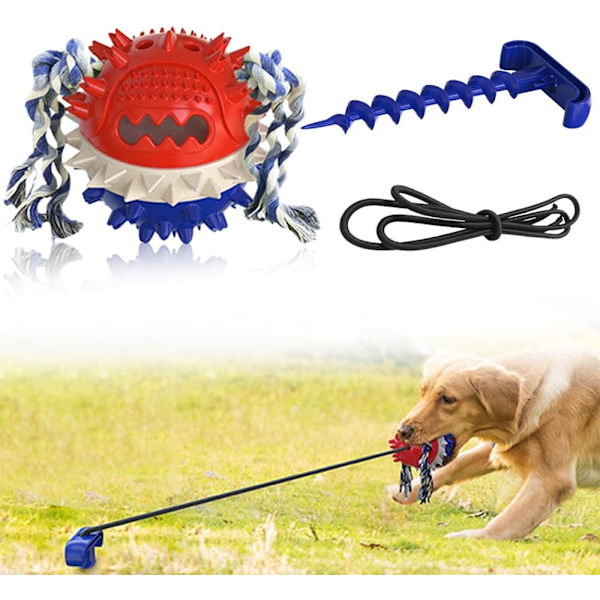 Anyingkai Hundetandrensning og Foderdispenser, Multi-Funktion P
