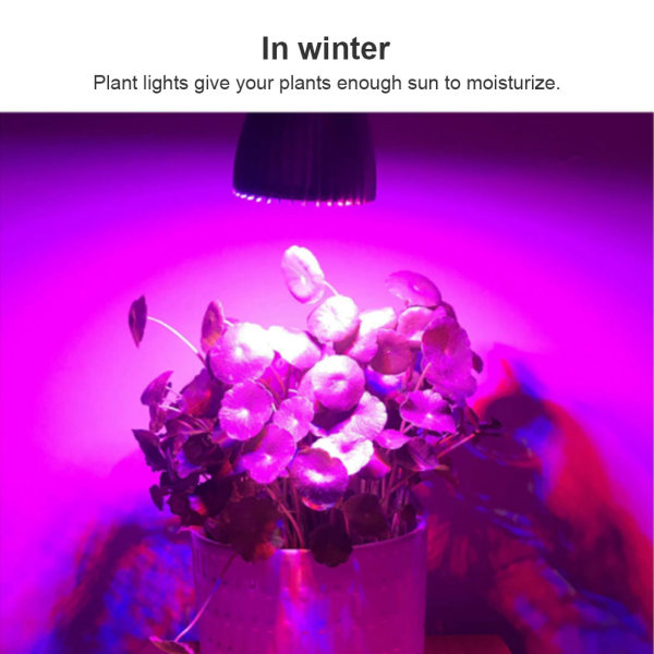 Full Spectrum LED-växtlampa för inomhusbruk