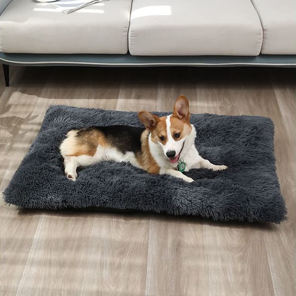 Hundesovepose Vinter Varm Plys Kattesovepose XXL Mørkegrå